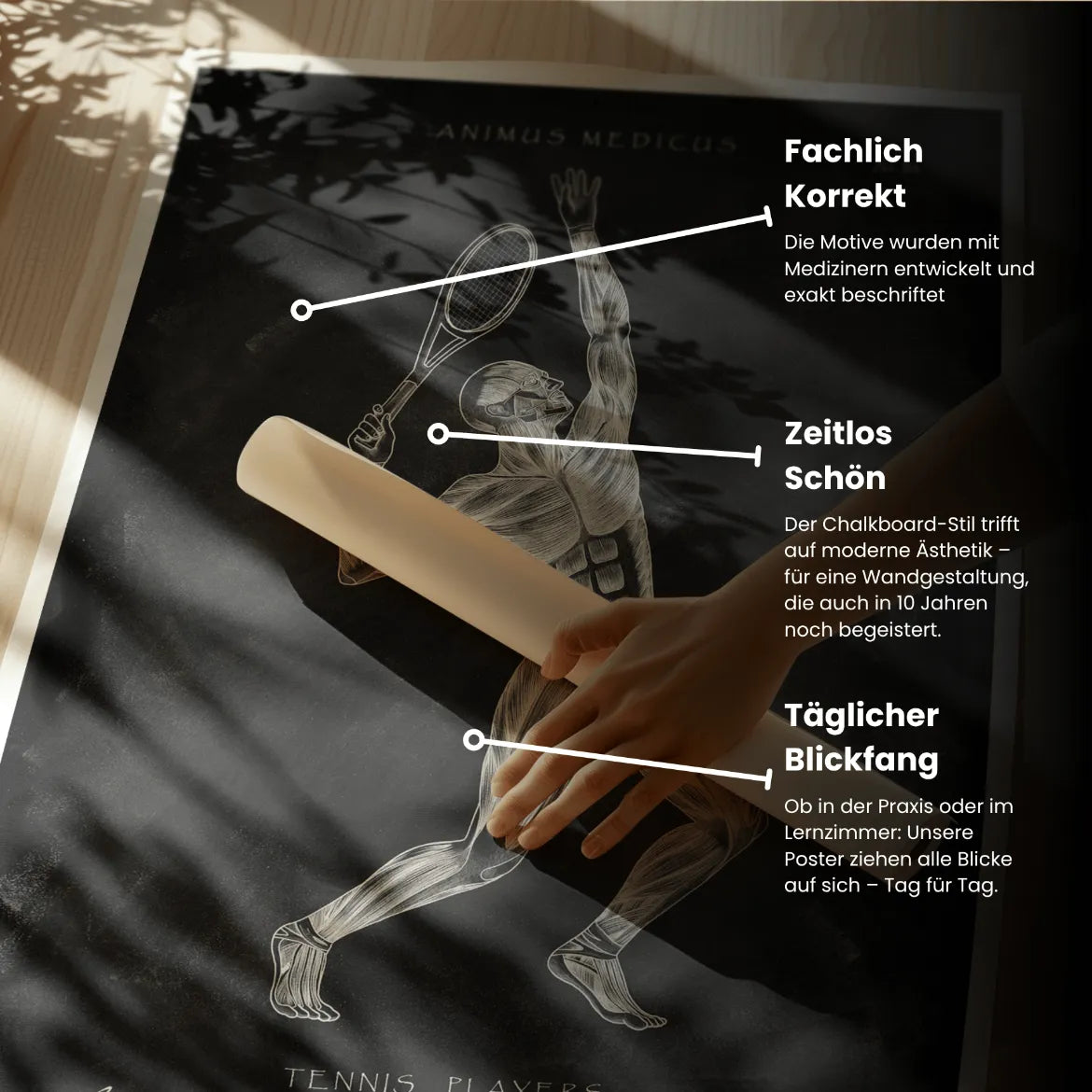 Tennis Anatomie Poster - Chalkboard - Animus Medicus GmbH