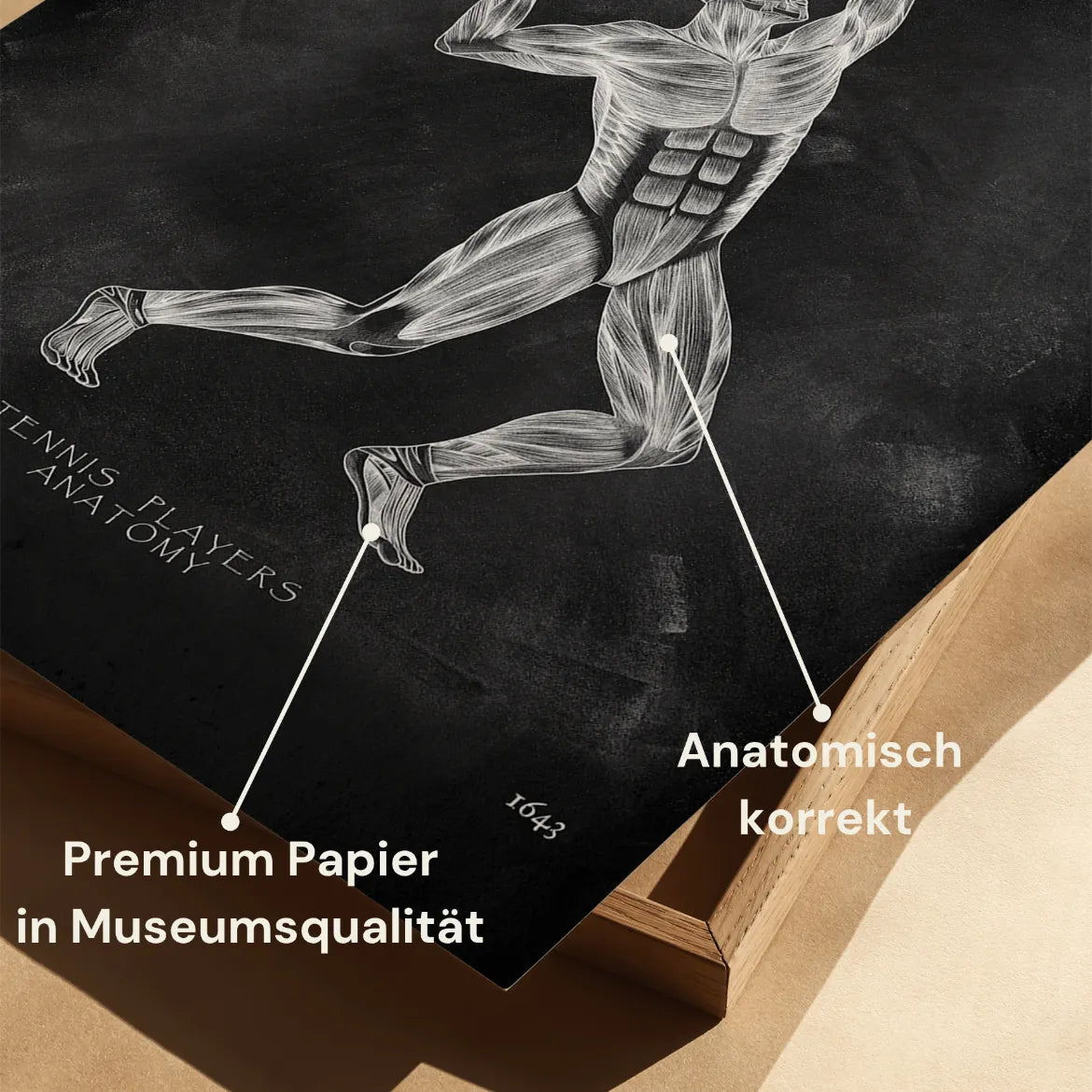 Tennis Anatomie Poster - Chalkboard - Animus Medicus GmbH