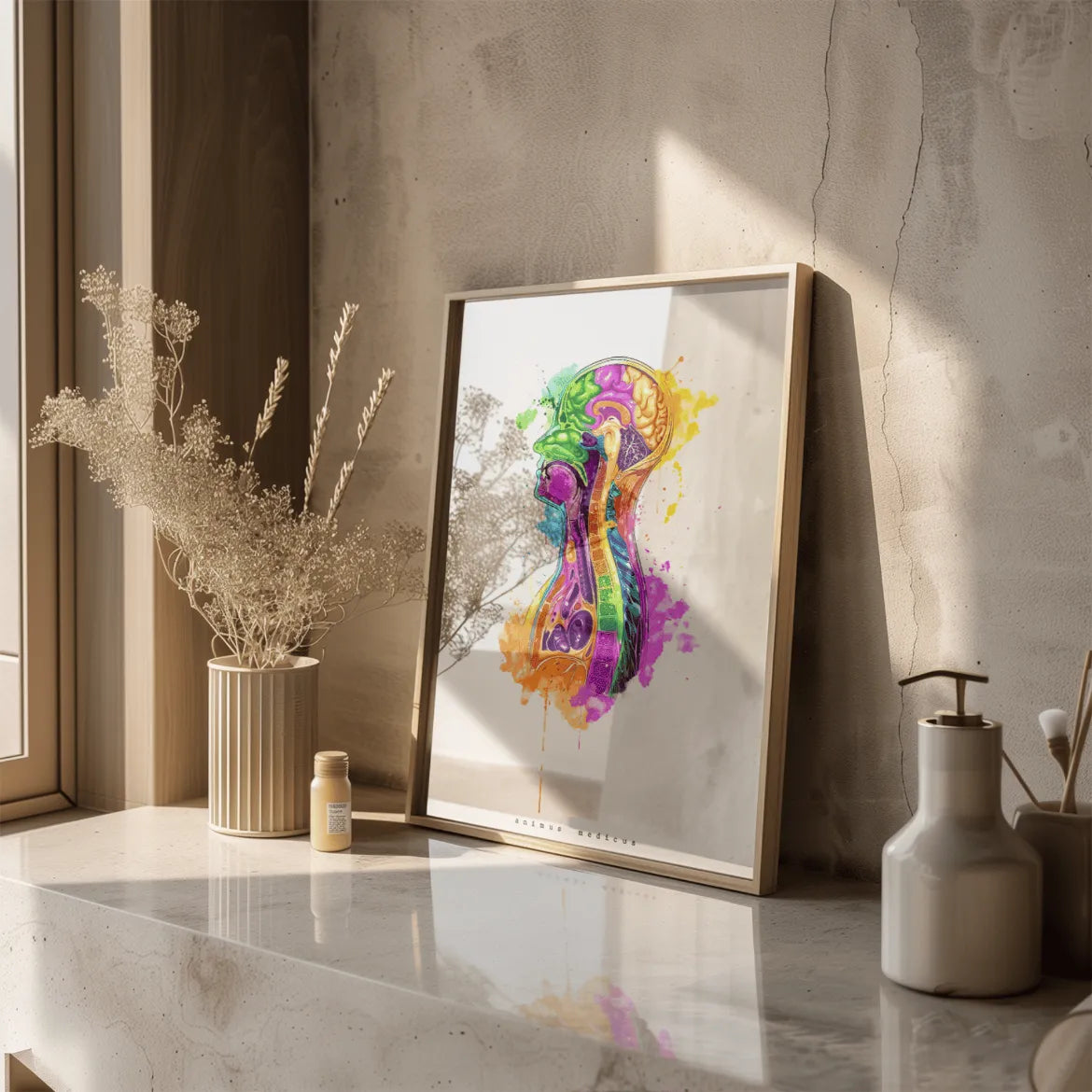 Thorax im Sagittalschnitt - Rainbow - Animus Medicus GmbH