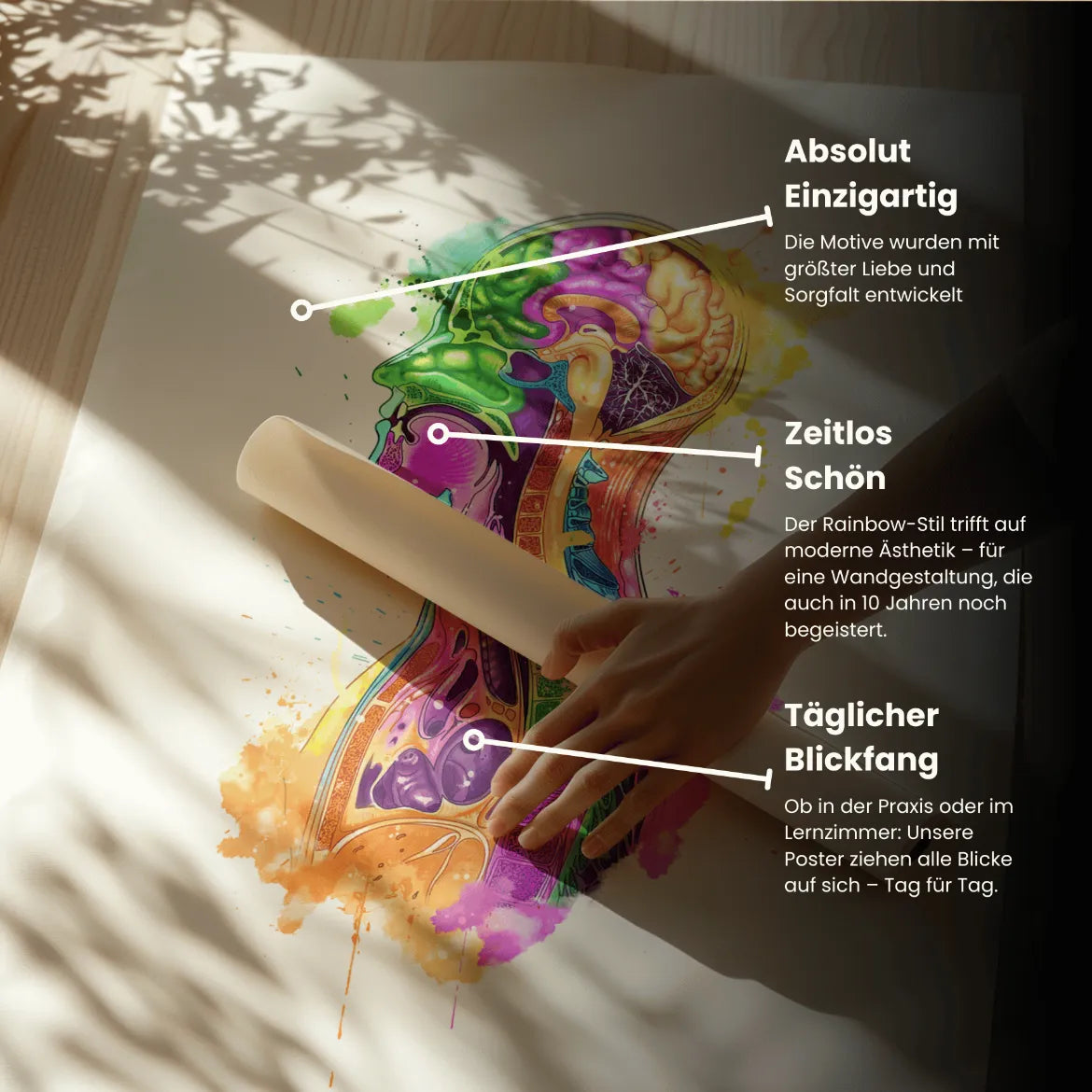 Thorax im Sagittalschnitt - Rainbow - Animus Medicus GmbH