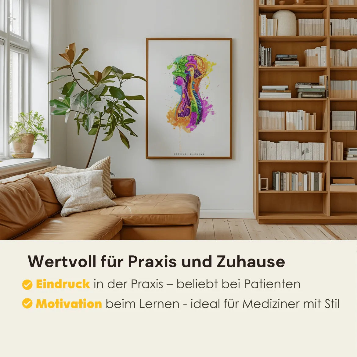 Thorax im Sagittalschnitt - Rainbow - Animus Medicus GmbH