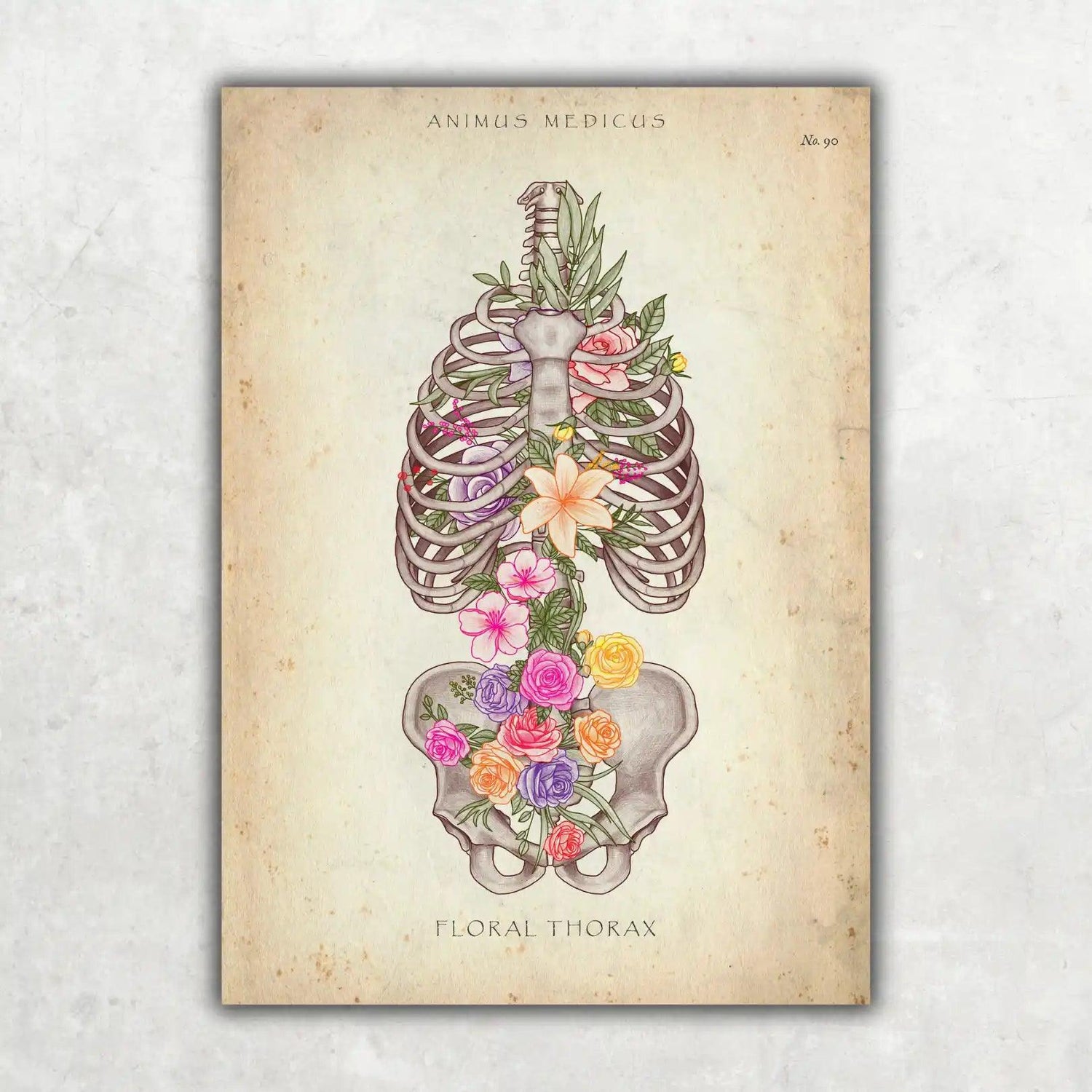 Thorax mit Blumen - Animus Medicus GmbH
