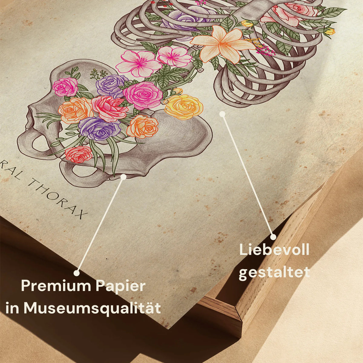Thorax mit Blumen - Animus Medicus GmbH