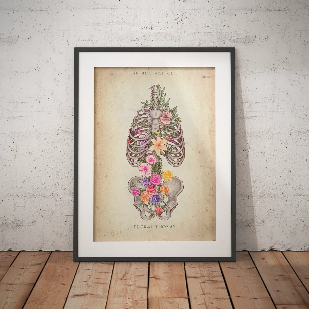 Thorax mit Blumen - Animus Medicus GmbH