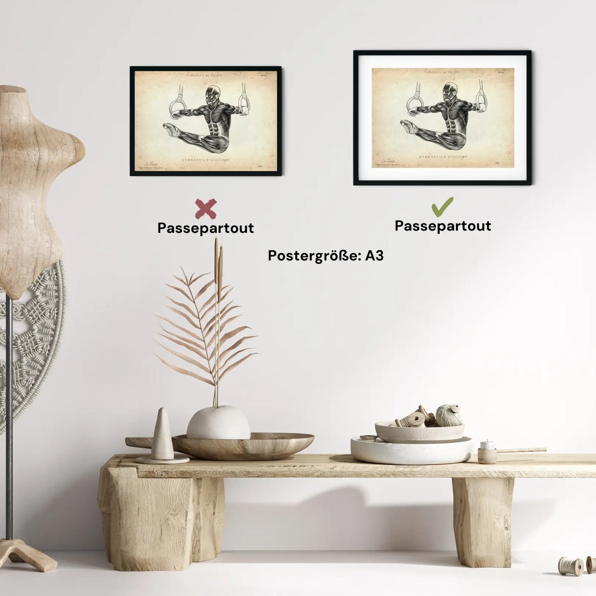 Turnen Anatomie Poster - Animus Medicus GmbH