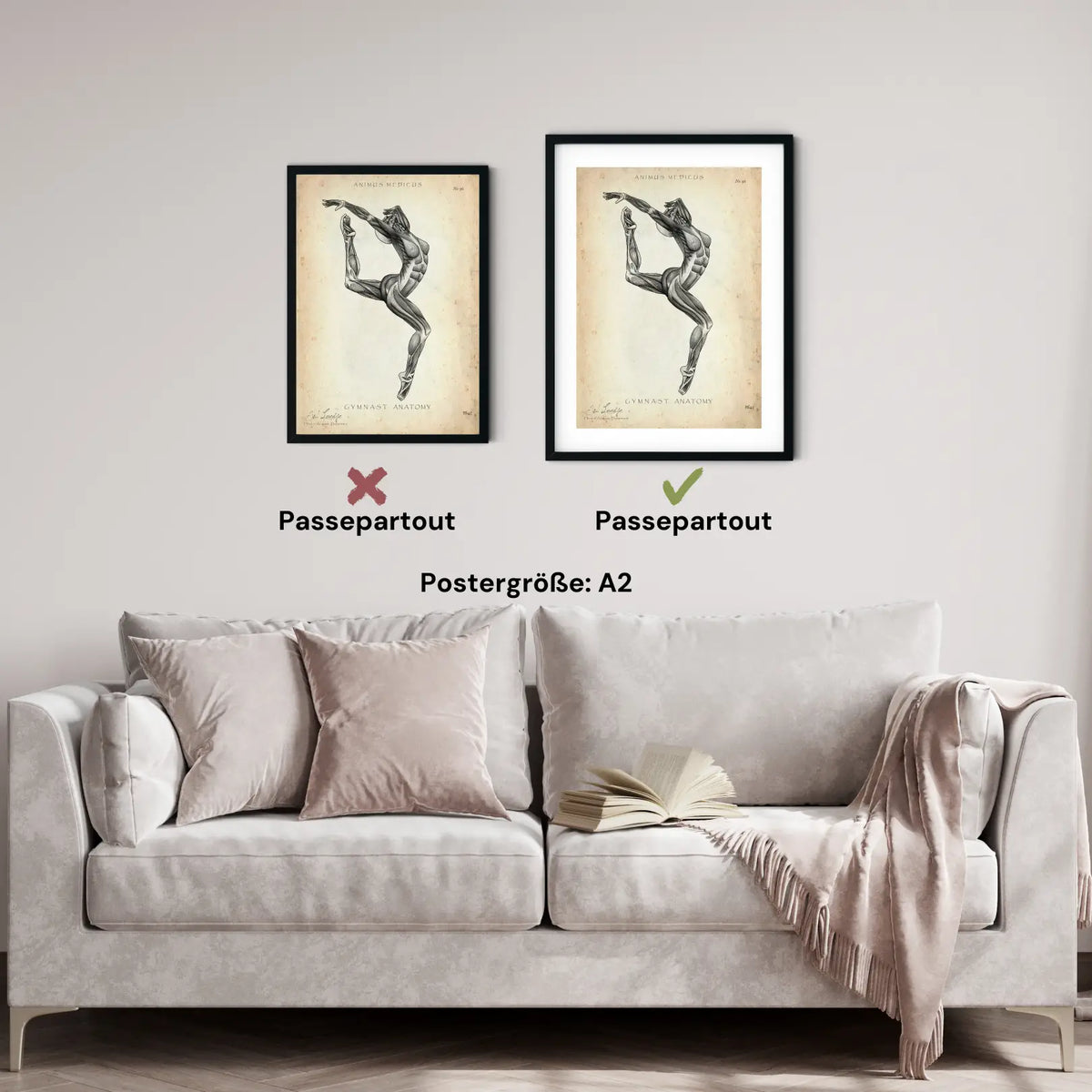 Turnen Anatomie Poster II - Animus Medicus GmbH