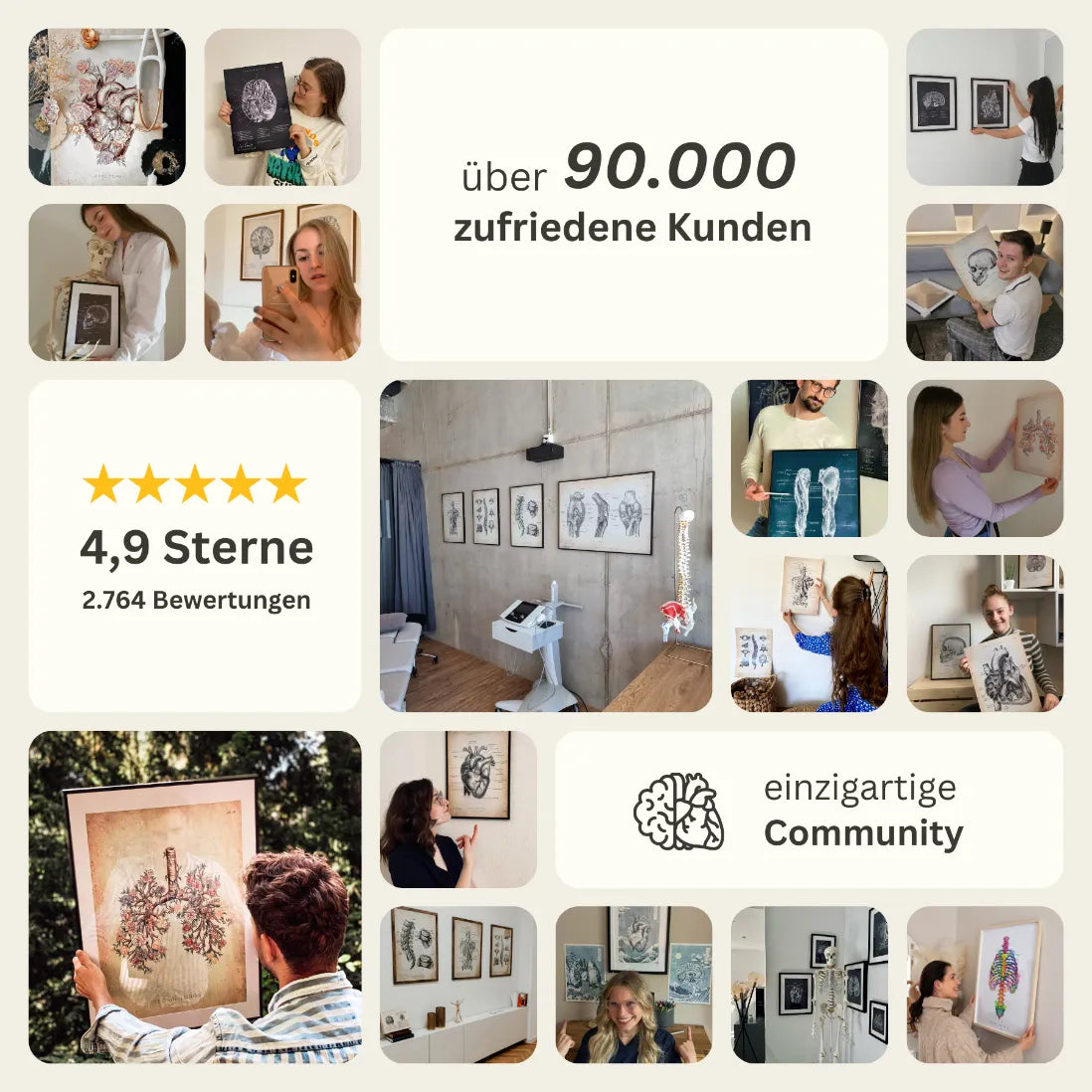 Turnen Anatomie Poster II - Animus Medicus GmbH