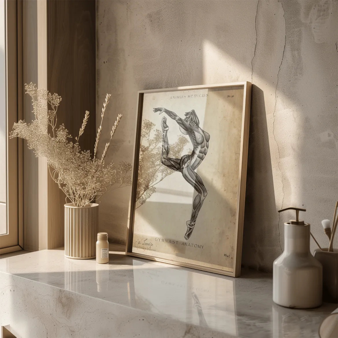 Turnen Anatomie Poster II - Animus Medicus GmbH