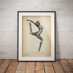Turnen Anatomie Poster II - Animus Medicus GmbH