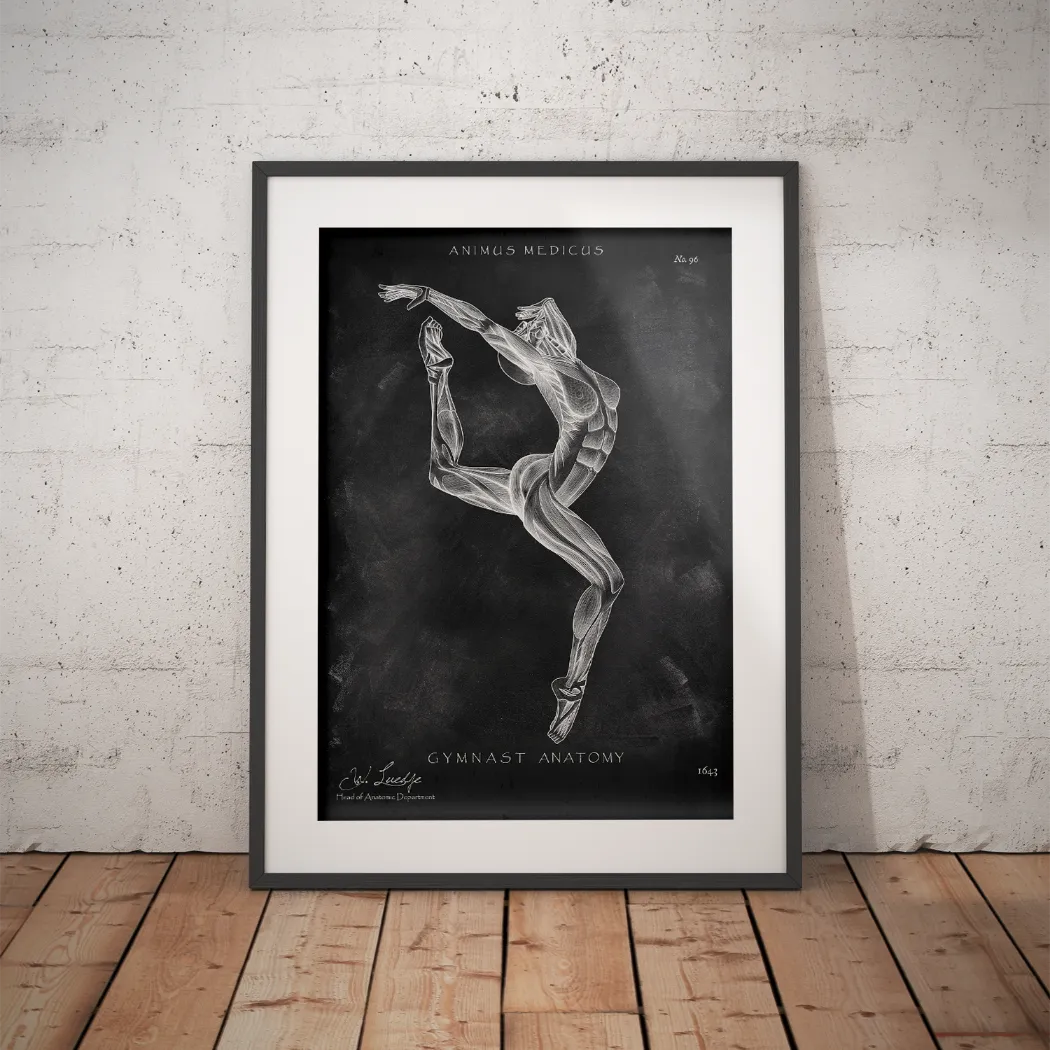 Turnen Anatomie Poster II - Chalkboard - Animus Medicus GmbH