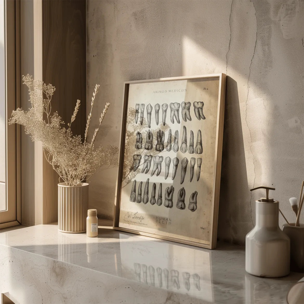 Übersicht der Zähne - Animus Medicus GmbH