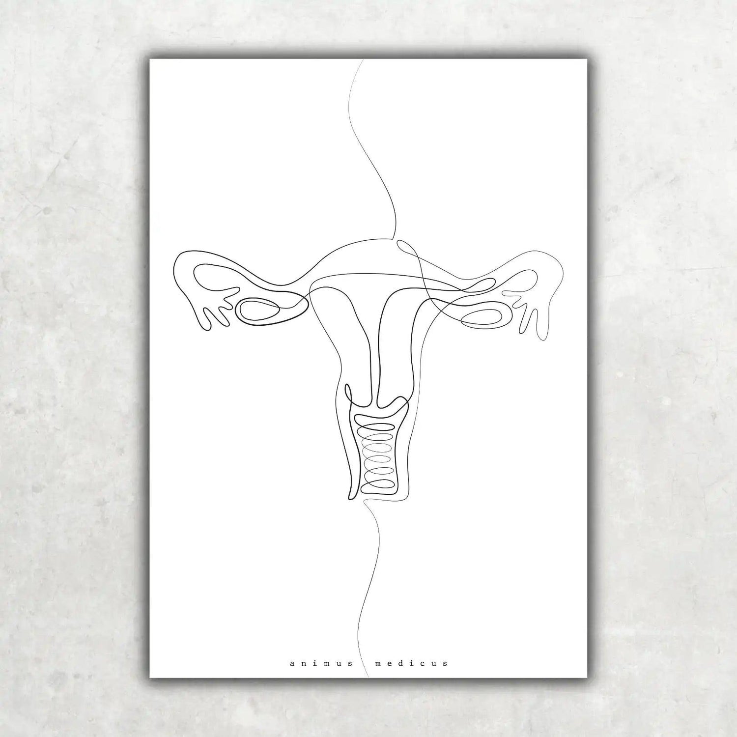 Uterus Anatomie Minimalist - Animus Medicus GmbH