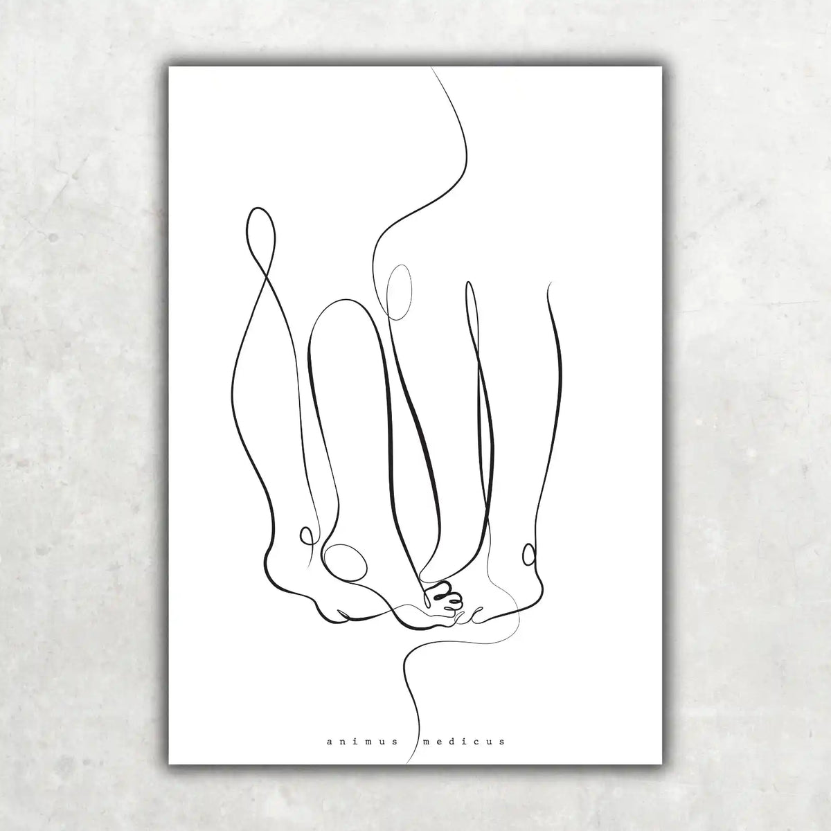 Vino & Gossip Sammlung - Animus Medicus GmbH