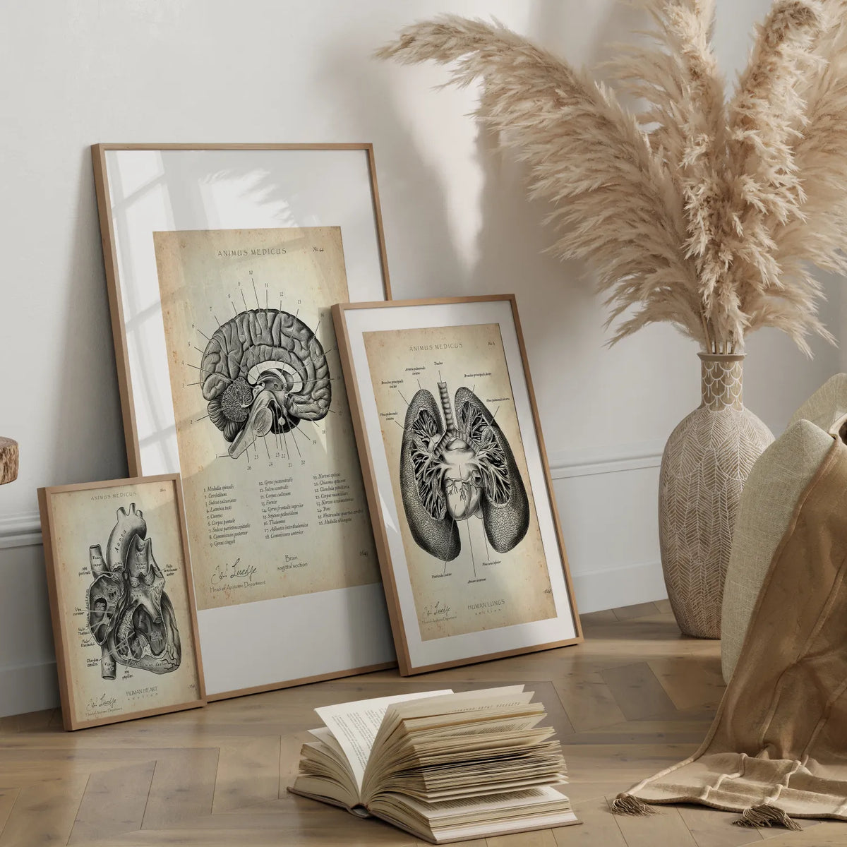 Vintage Must-Haves 2 - Animus Medicus GmbH