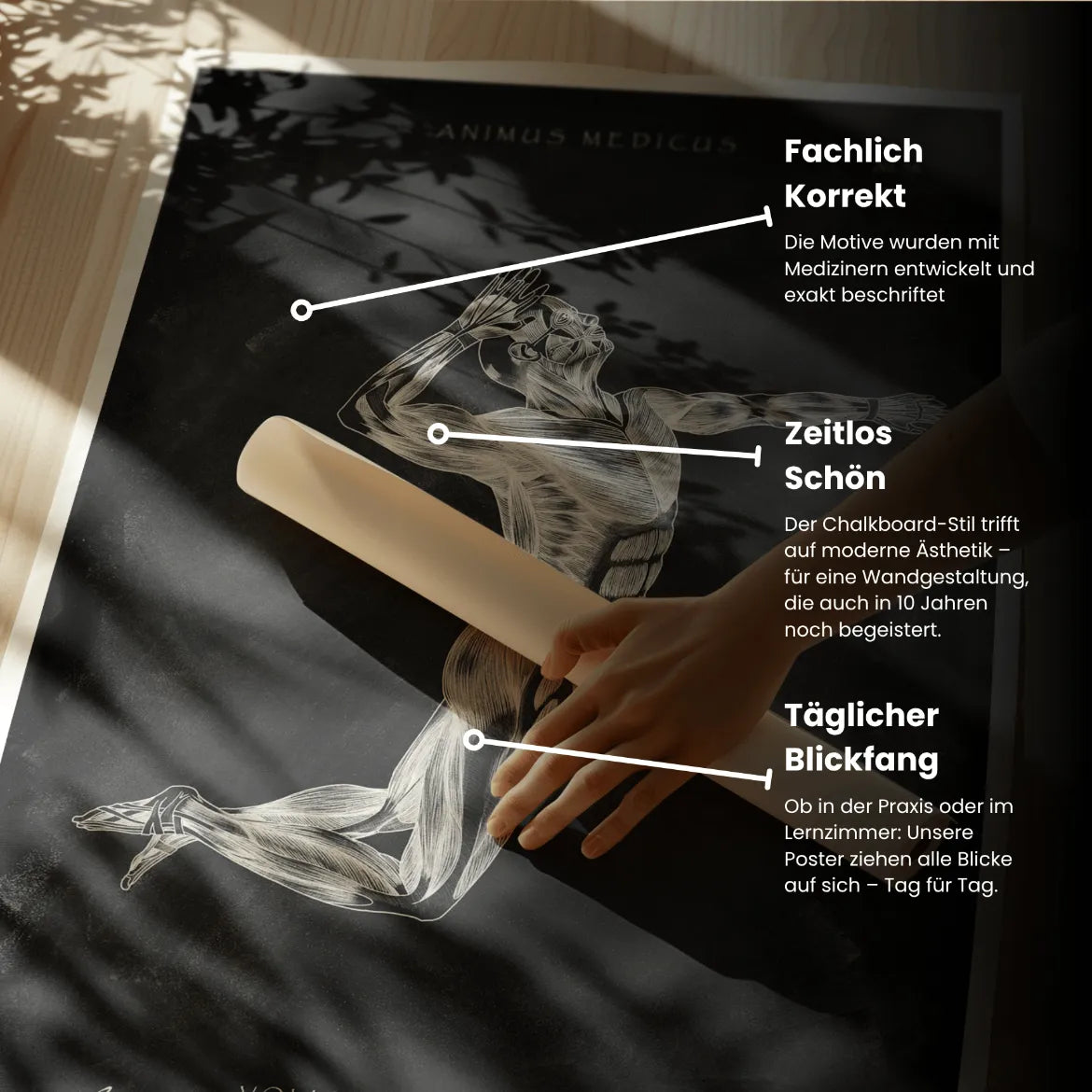 Volleyball Anatomie Poster - Chalkboard - Animus Medicus GmbH