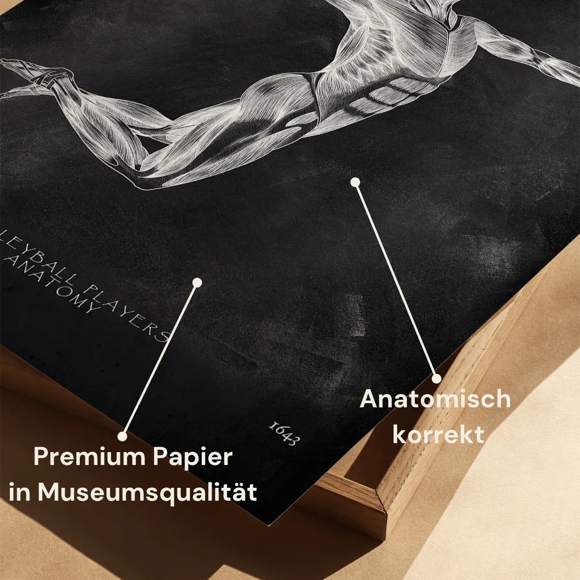 Volleyball Anatomie Poster - Chalkboard - Animus Medicus GmbH