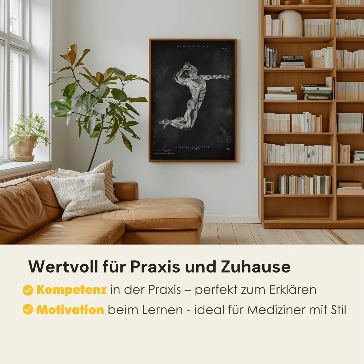 Volleyball Anatomie Poster - Chalkboard - Animus Medicus GmbH