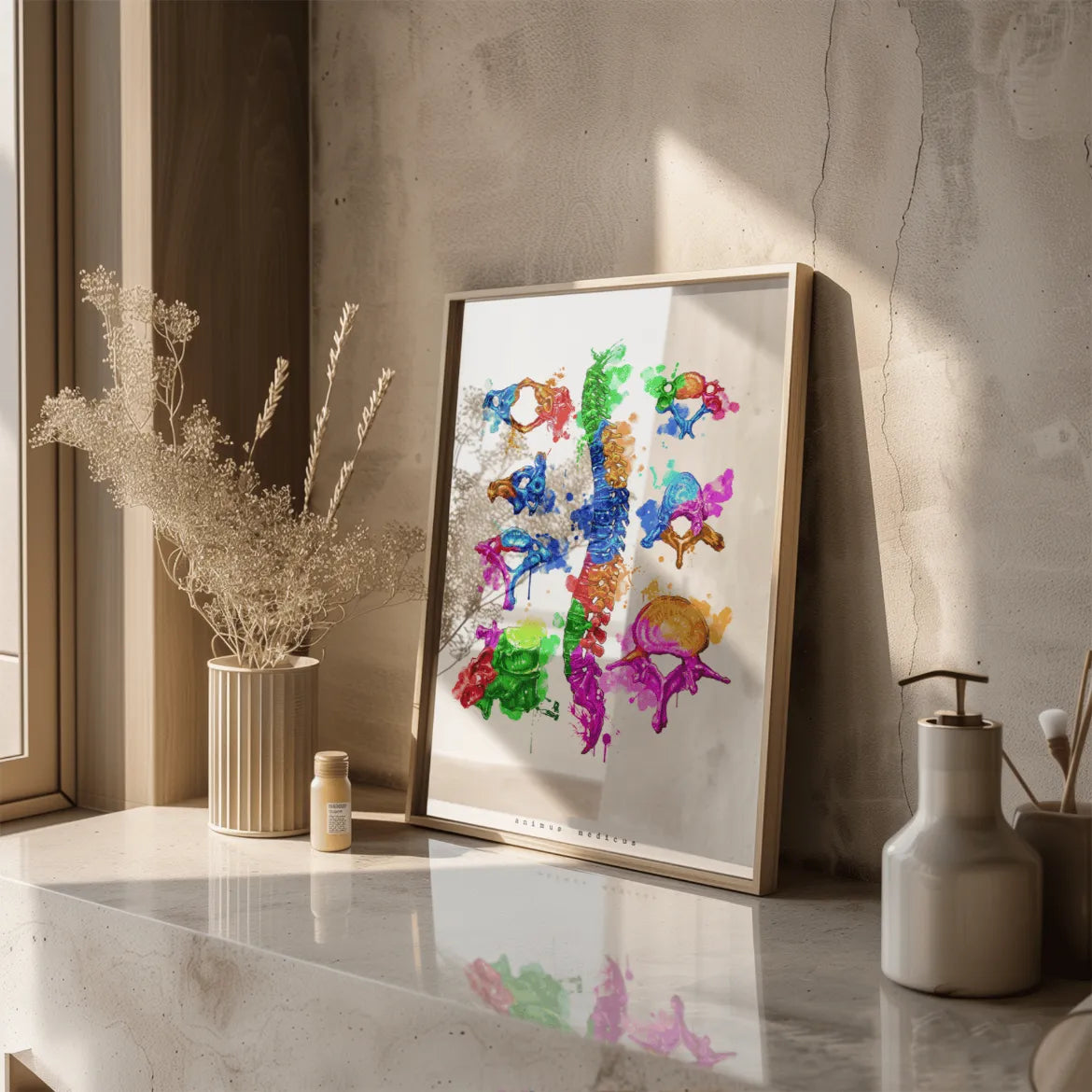 Wirbelkörper Anatomie - Rainbow - Animus Medicus GmbH