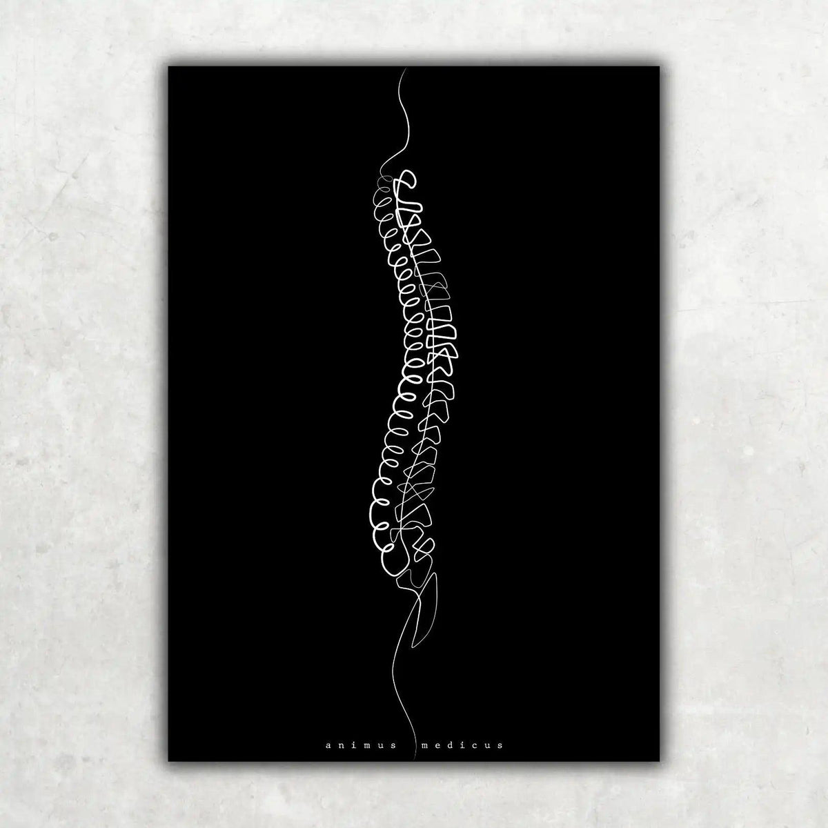 Wirbelsäule Anatomie Minimalist Dark - Animus Medicus GmbH