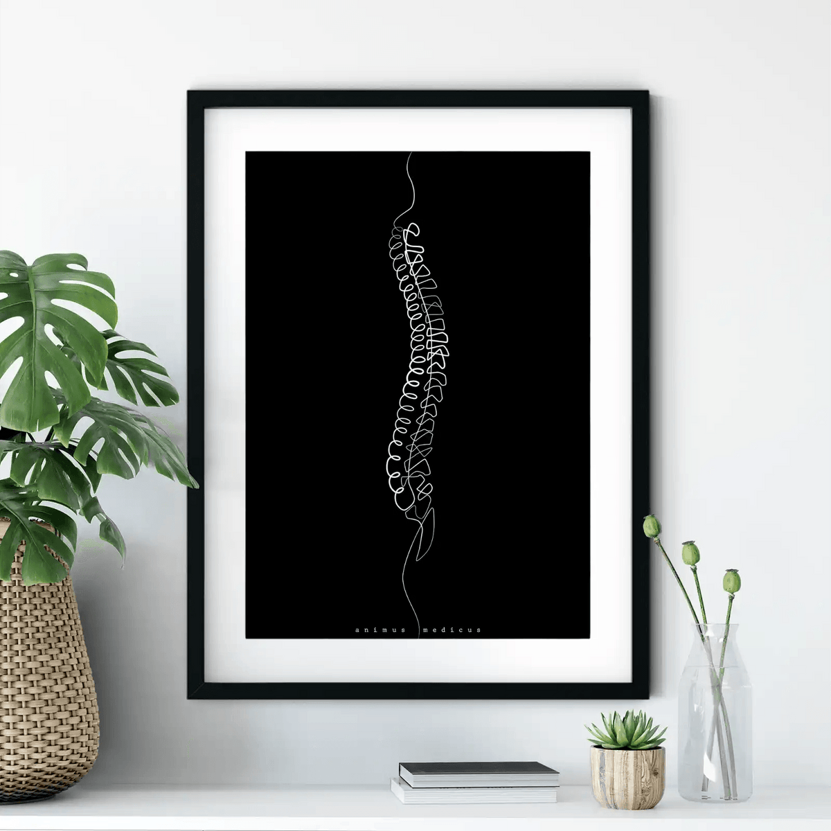 Wirbelsäule Anatomie Minimalist Dark - Animus Medicus GmbH