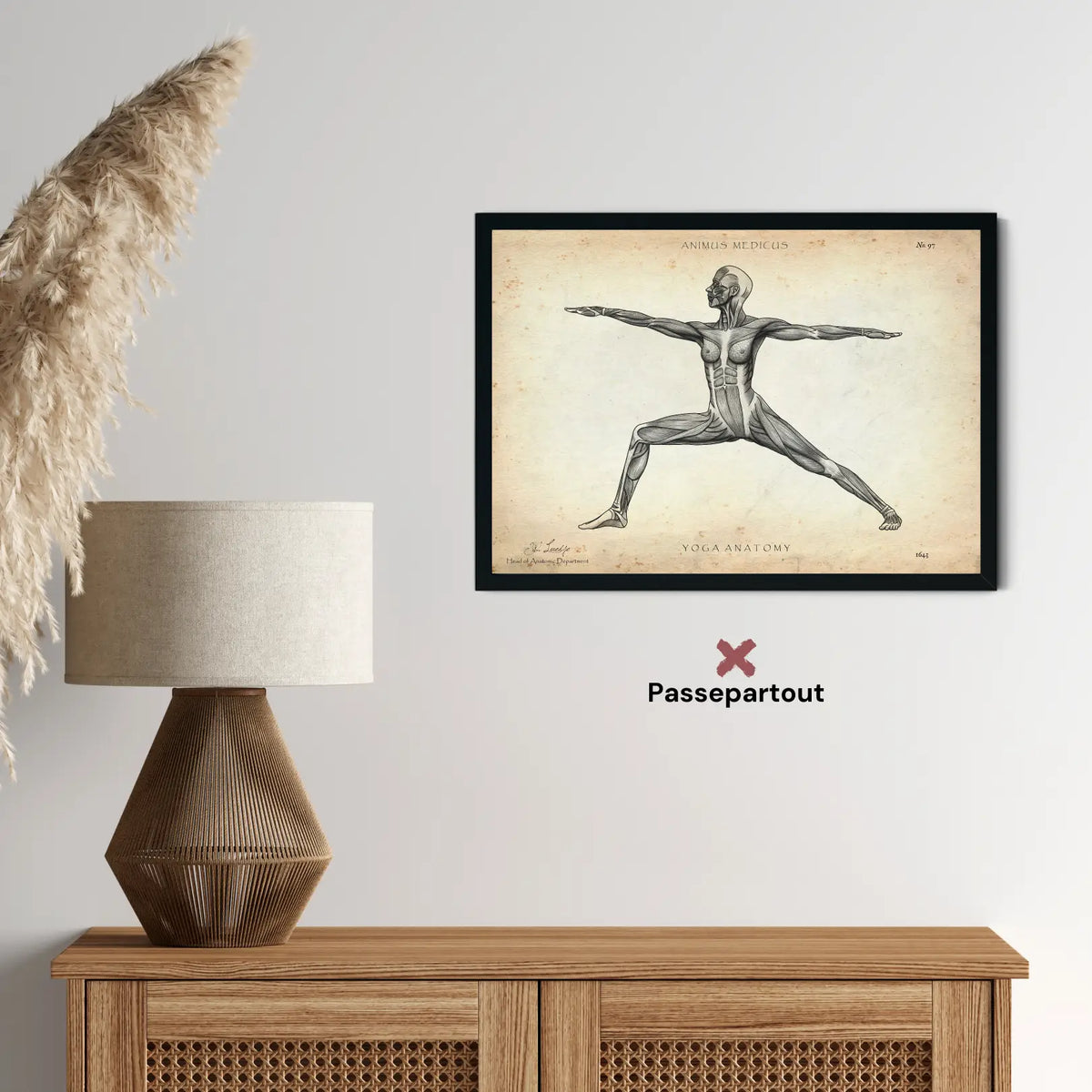 Yoga Anatomie Poster - Animus Medicus GmbH