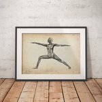 Yoga Anatomie Poster - Animus Medicus GmbH