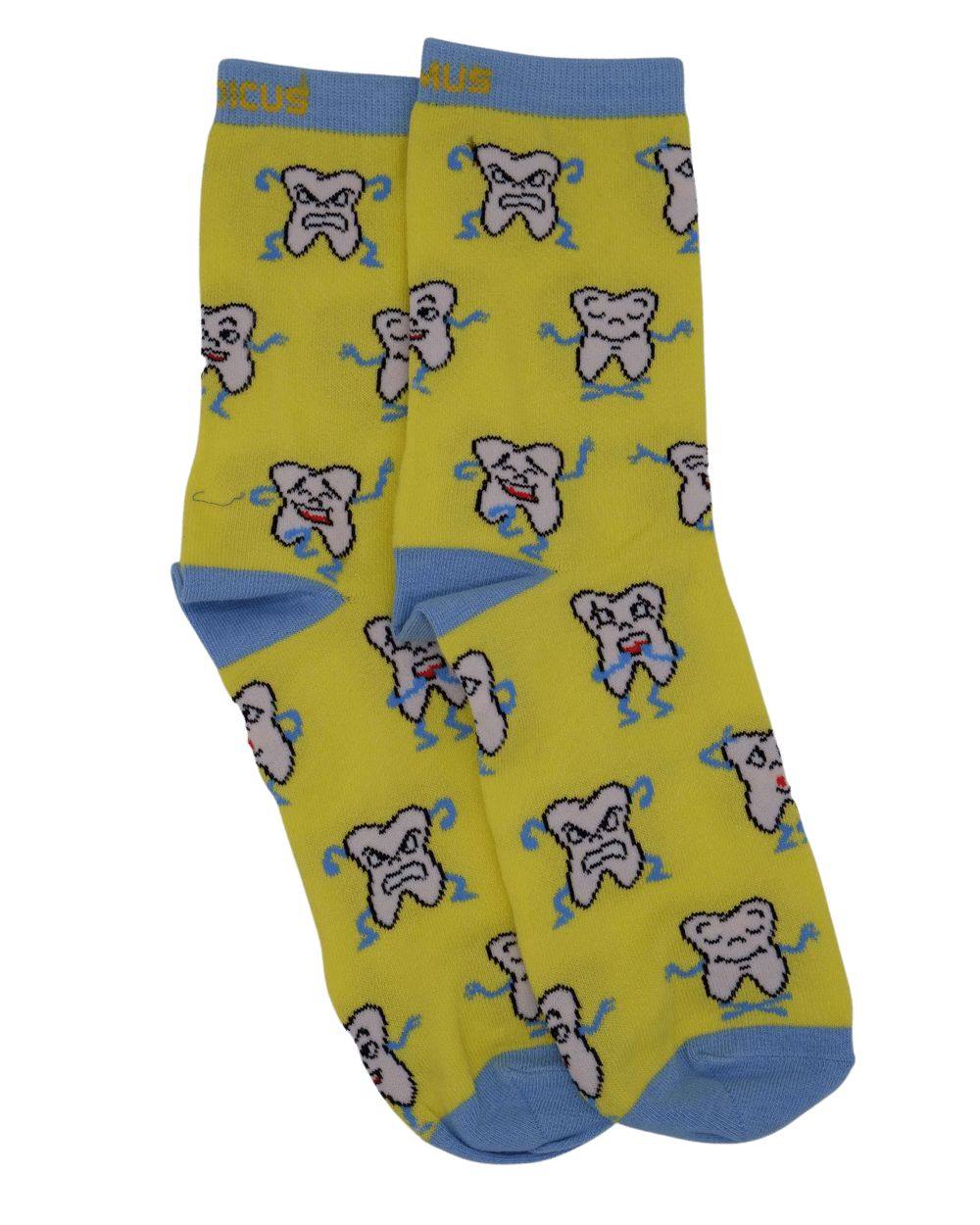 Zahn Anatomie Socken aus Bio-Baumwolle - Animus Medicus GmbH