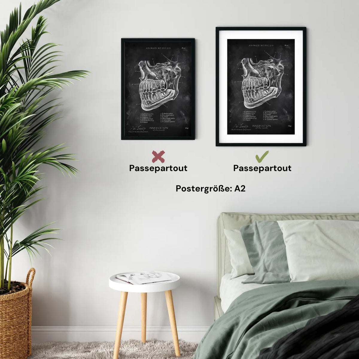 Zahn Innervation - Chalkboard - Animus Medicus GmbH