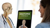 Anatomie einfach erklärt: Dein Körper im Überblick