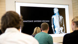 Anatomie unterer Rücken: Aufbau & Funktionen verstehen