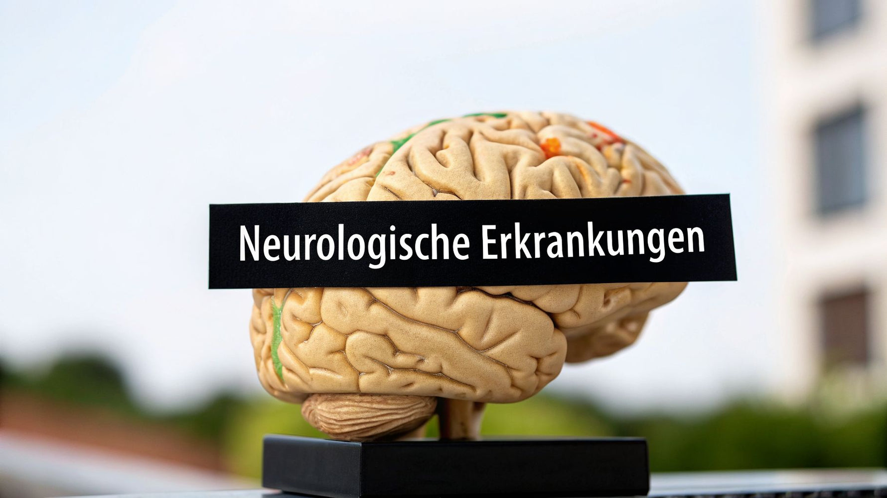 Umfassende liste neurologischer erkrankungen: 12 Krankheitsbilder erklärt
