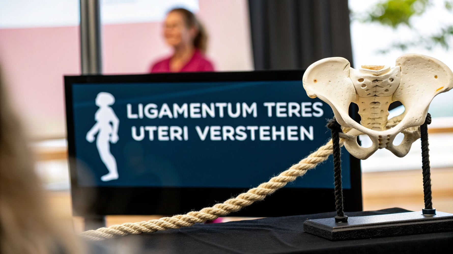 Ligamentum teres uteri verstehen Ein umfassender Guide