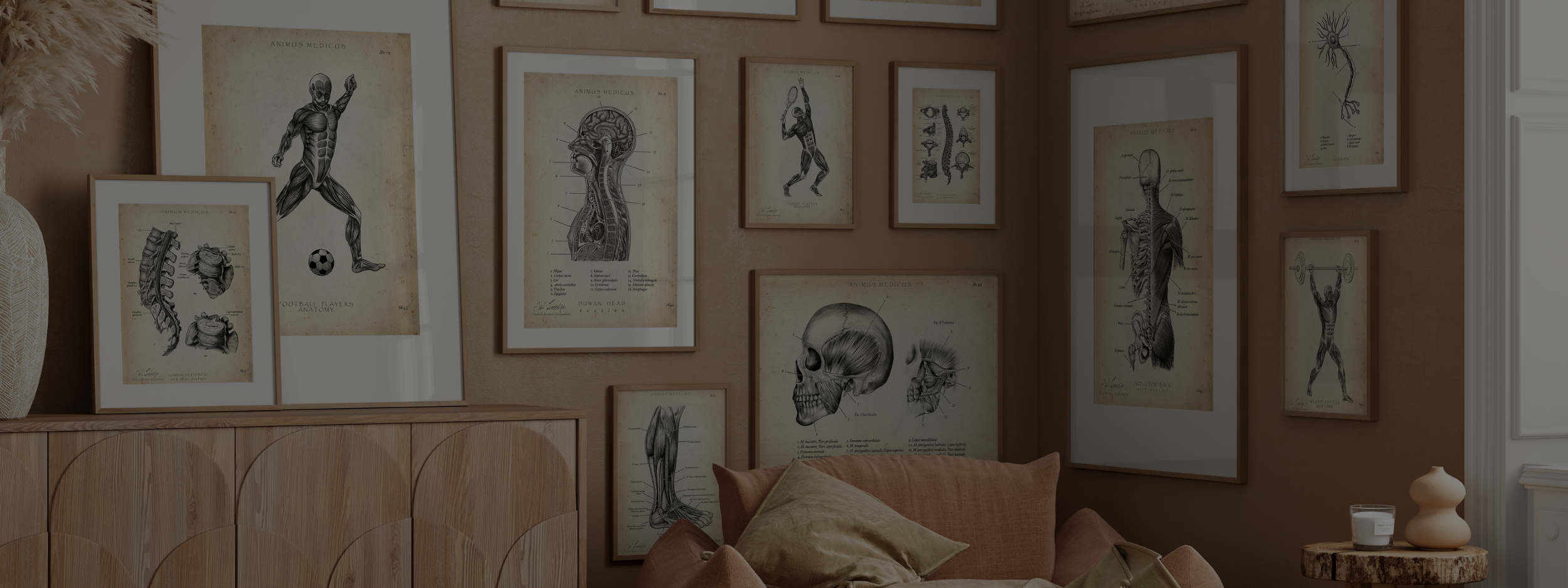 Alle Produkte - Animus Medicus GmbH