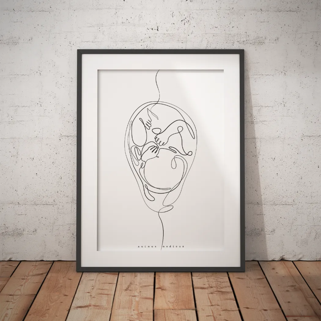 Foetus Anatomie Minimalistisch