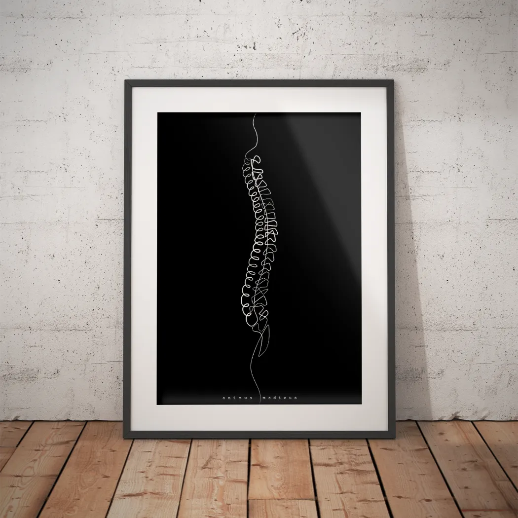 Wervelkolom Anatomie Minimalistisch Donker