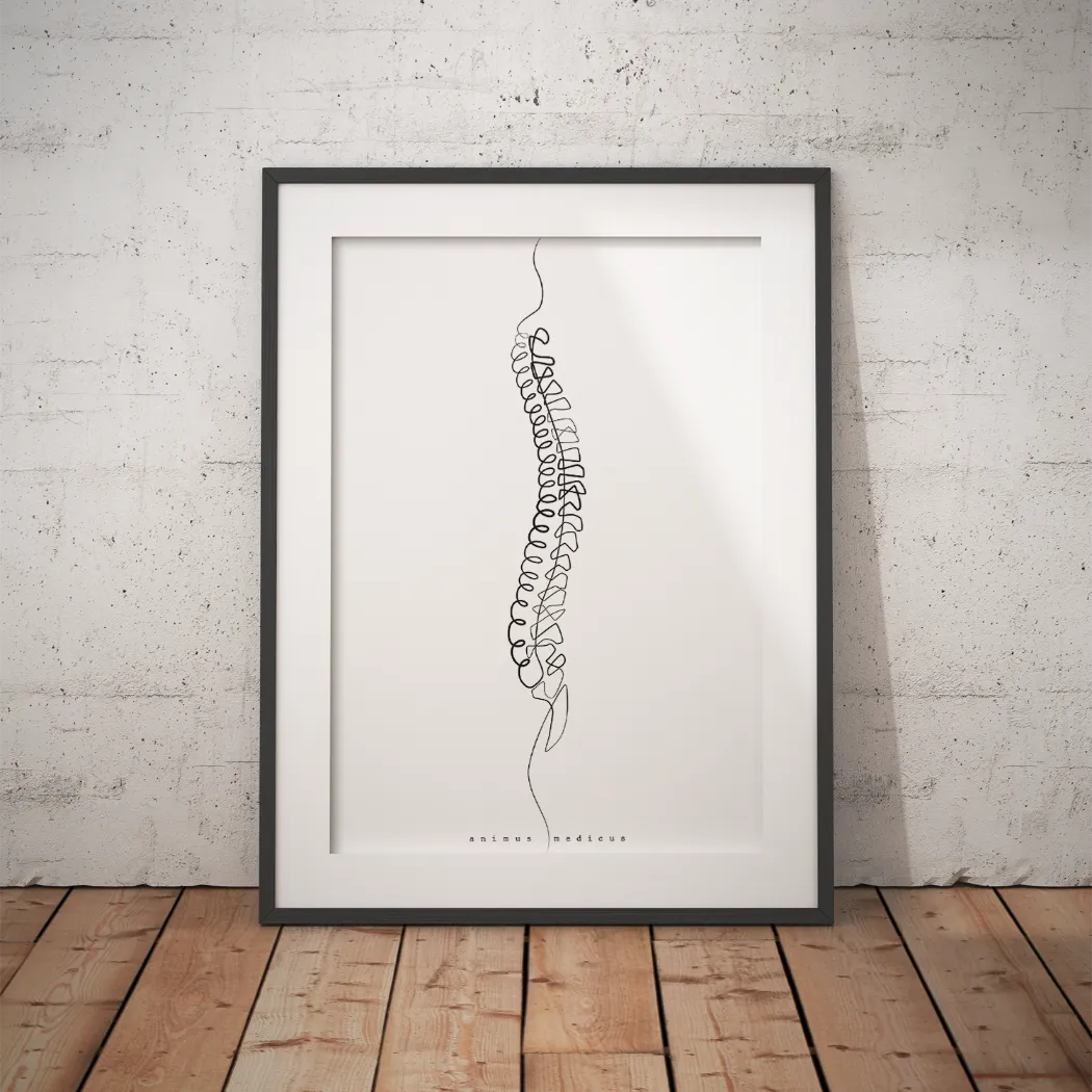 Wervelkolom Anatomie Minimalistisch