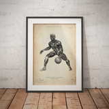 Basketbal Anatomie Poster