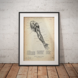 Arm Anatomie dorsaal