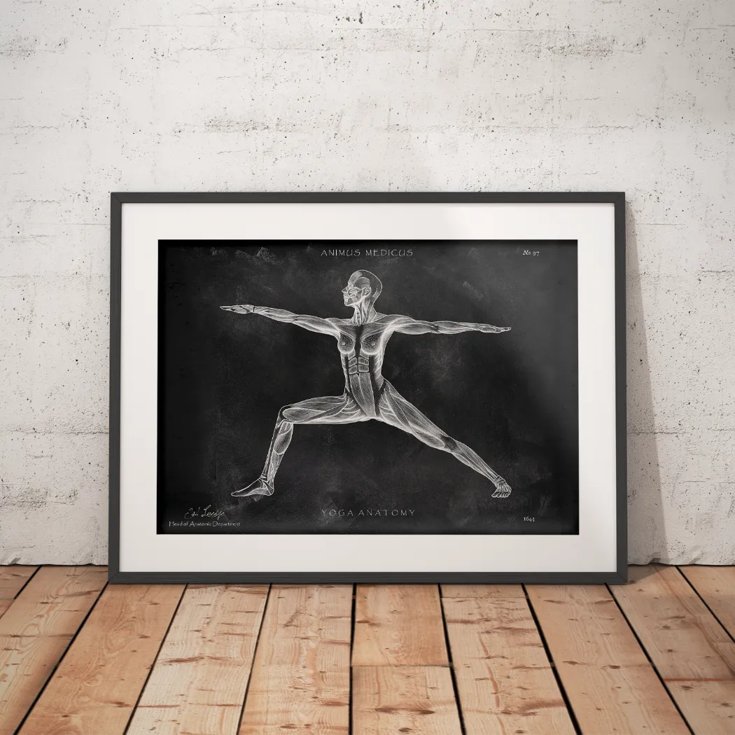 Yoga Anatomie Poster - Schoolbord
