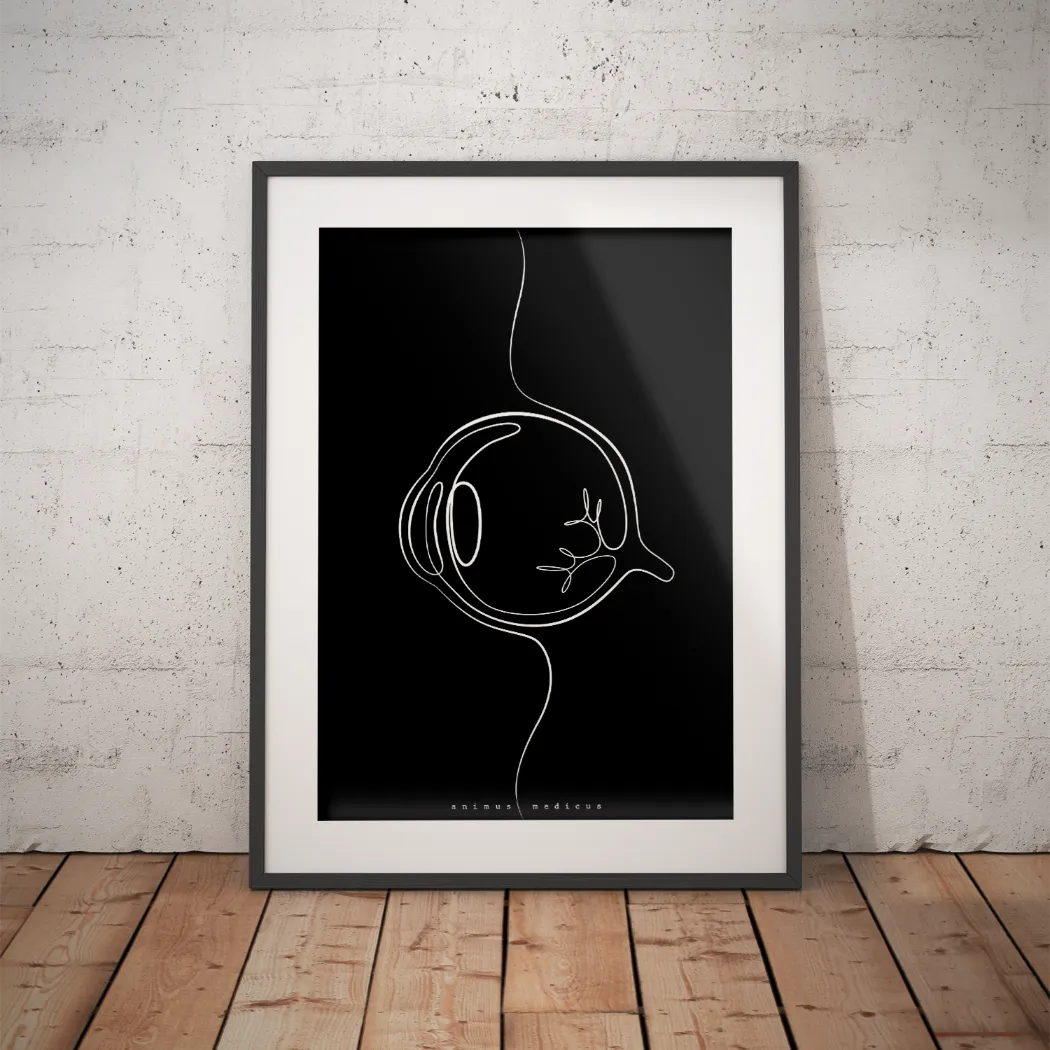 Oog Anatomie Minimalistisch Donker