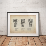 Strottenhoofd Anatomie