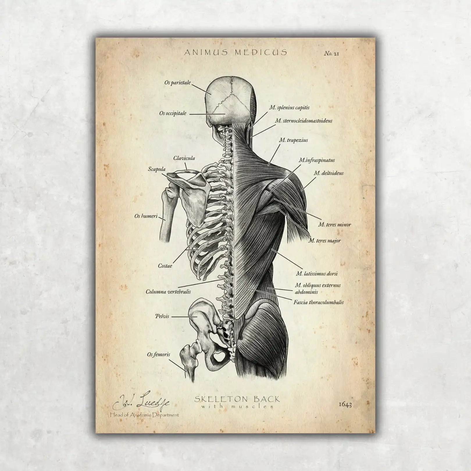 Physio Practice Starter Set