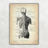 Physio Practice Starter Set