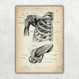 Physio Practice Starter Set