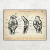 Physio Practice Starter Set