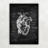 5er Paket Chalk Edition - Bestseller - Animus Medicus GmbH