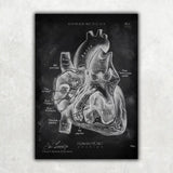 5er Paket Chalk Edition - Bestseller - Animus Medicus GmbH