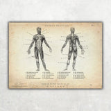 Physio Practice Starter Set
