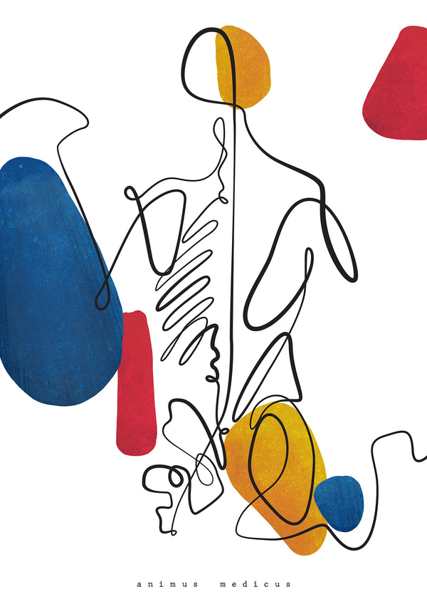 Rücken Anatomie - Abstrakt