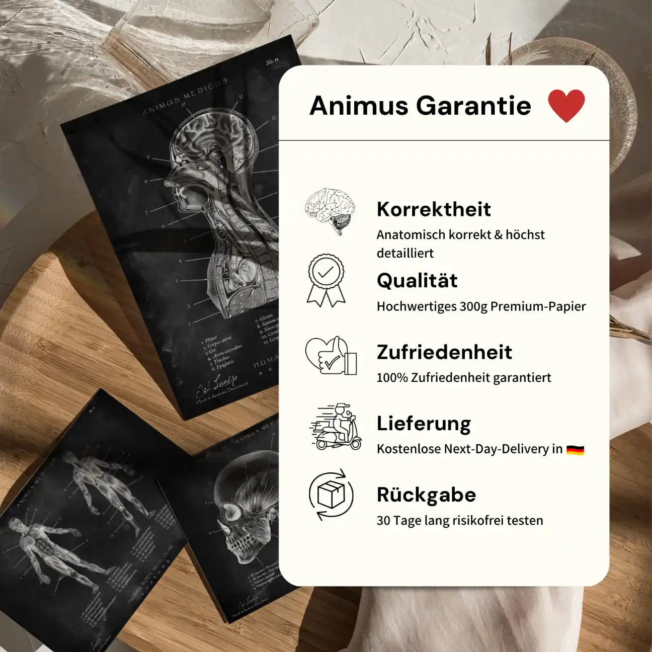 Gymnastiek anatomie poster